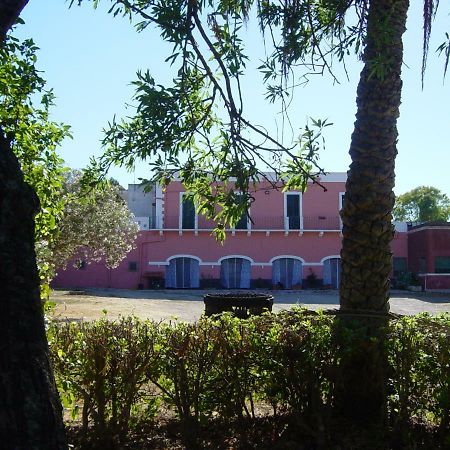 Tenuta Argiano Мезанье Экстерьер фото