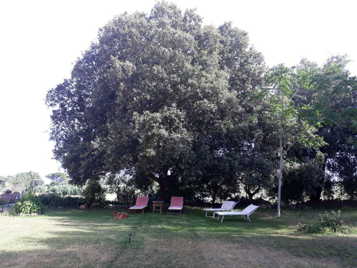 Tenuta Argiano Мезанье Экстерьер фото